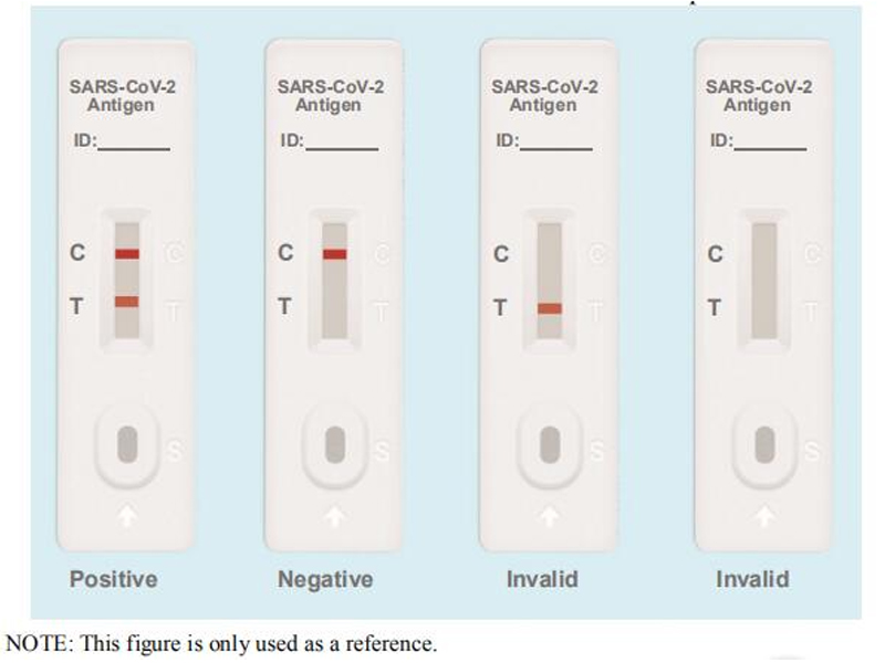 SARSCoV2 Antigen Rapid Test Kit (Colloidal gold Immunoassay