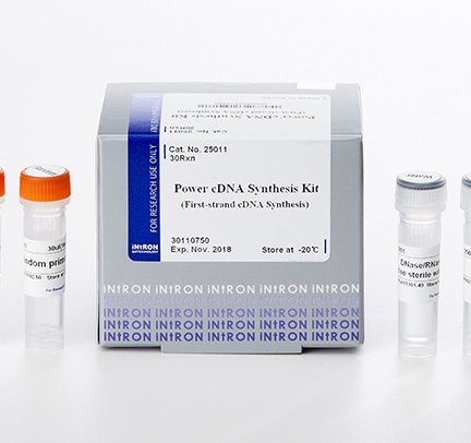 Power cDNA Synthesis Kit - intikemika.com
